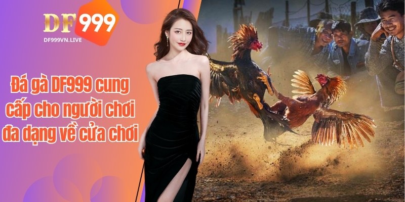 Đá gà DF999 cung cấp cho người chơi đa dạng về cửa chơi